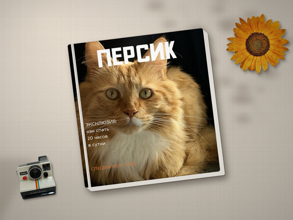 Фотокнига о питомце, обложка